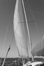 Monochrome picture of sailing yacht catches the wind