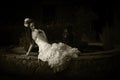 Monochrome portrait of vintage bride next to fountain Royalty Free Stock Photo