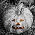 Monochrome pumpkin fiery smile eyes lantern jack devilish head terrifying decor halloween Royalty Free Stock Photo