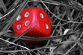 Monochrome red highlighted dice on the grass, chance for winning Royalty Free Stock Photo