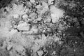 Monochrome road with clods of soil Royalty Free Stock Photo