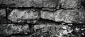 Monochrome Rock Wall Royalty Free Stock Photo