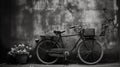 monochrome scene of a classic vintage bike