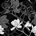 Monochrome seamless background with magnolia. Royalty Free Stock Photo