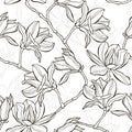 Monochrome seamless background with magnolia. Royalty Free Stock Photo