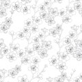 Monochrome seamless pattern with blooming cherry branches.