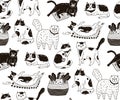 Monochrome seamless pattern with cats sleeping, washing, playing, stretching itself. Backdrop with cute purebred pet