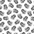 e seamless pattern gray prints of hawthorn leaves with veins and texture on white background