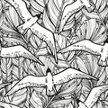 Monochrome seamless pattern from hand drawn feathers of birds and flying seagulls Royalty Free Stock Photo