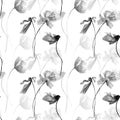 Monochrome seamless pattern with Poppies flowers