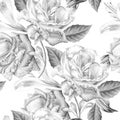 Monochrome seamless pattern with roses. Watercolor illustration.