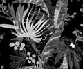 Monochrome seamless pattern with tropical flowers and leaves painted in drybrush gouache