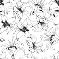 Monochrome seamless vector pattern with hand drawn black lilies and leaves isolated on white background. Floral design template