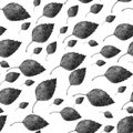 Monochrome seamless vintage style birch leaf pattern with different sized leaves