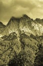 Monochrome sepia vintage style cloudy mountain landscape with trees, mist and clouds