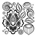 Monochrome Set of Floral Design Elements in Doodle Line Style