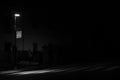 Monochrome shot of a street lamp, which illuminates the pedestrian crossing at night