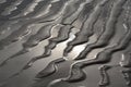 Monochrome shot of the tidal texture of coastal wet mudflat