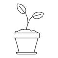 Monochrome silhouette of plant in flower pot in closeup Royalty Free Stock Photo