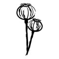 Monochrome sketch of poppy sprigs with seed pods.