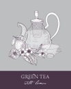 Monochrome sketch of teapot with strainer, cup, green tea leaves, flowers and juicy lemon fruit on gray background