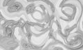 Monochrome smeared gray abstract liquid paint textured background with decorative spirals and swirls Royalty Free Stock Photo