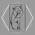 Abstract contour sphynx cat with third eye in polygonal frame Royalty Free Stock Photo