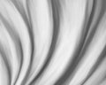 Monochrome spiral flower closeup Royalty Free Stock Photo