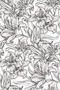 Monochrome spring botanical seamless pattern with lily hand drawn flowers.