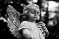 Monochrome stone angel statue on historic cemetery Royalty Free Stock Photo