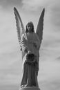 Monochrome stone angel statue on historic cemetery Royalty Free Stock Photo