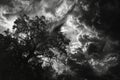 Monochrome Stormscape with Wind-Swept Tree and Debris, Dynamic Sky with Lightning, Artistic Concept Royalty Free Stock Photo