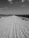 Monochrome a straight long dry sand road with tire tracks and footprints extending to the horizon surrounded by grass covered Royalty Free Stock Photo