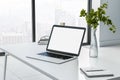 Monochrome style workspace with blank laptop monitor on marble tabletop, glass vase with plant and city view from big window. 3D