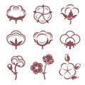 Monochrome stylized pictures set of white cotton flowers. Vector illustrations set