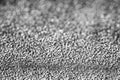 Monochrome texture of shiny grained metal. Abstract background.