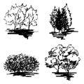 Monochrome tree silhouette sketched line art set isolated vector