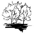 Monochrome trees silhouette sketched line art isolated vector
