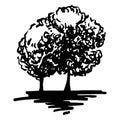 Monochrome trees silhouette sketched line art isolated vector