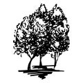 Monochrome trees silhouette sketched line art isolated vector