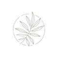 Monochrome tropical botanic branch with leaves at circle frame decorative logo of spa beauty salon