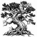 Monochrome Twisted Tree Illustration with Dense Foliage and Intricate Details Royalty Free Stock Photo