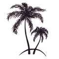 Monochrome two tropical palm tree sea ocean beach hand drawn sketch vector Royalty Free Stock Photo