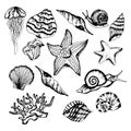 Monochrome Underwater Creatures Vector Hand Drawn Illustrated Set