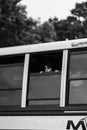 Monochrome vertical shot fo the young boy looking out from the car window on a rainy day