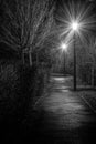 A monochrome view of a deserted path lit by two streetlights at night