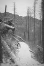 Monochrome view of a hiking trail in Western Tatras Royalty Free Stock Photo