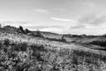 Monochrome view of a snow covered narrow country lane with a row of stone houses surrounded by fields at hurst lane in hebden Royalty Free Stock Photo