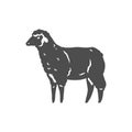 Monochrome vintage curly sheep icon vector illustration. Cute domestic farm mammal animal silhouette