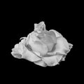 Monochrome white rose blossom vintage macro, fine art still life